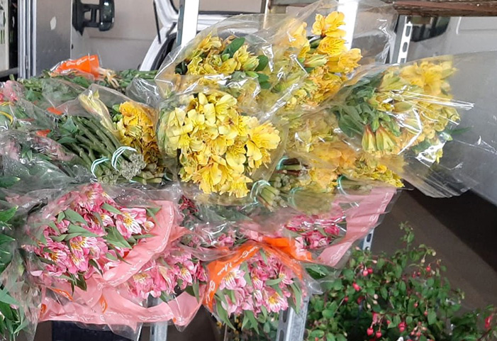 CEAFLOR comemora a Primavera e a alta da oferta e do consumo das flores de corte usadas na decoração