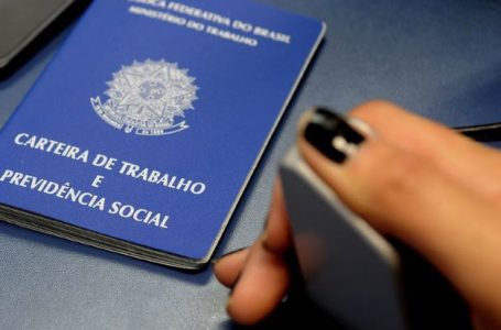 Carteira de Trabalho Divulgacao