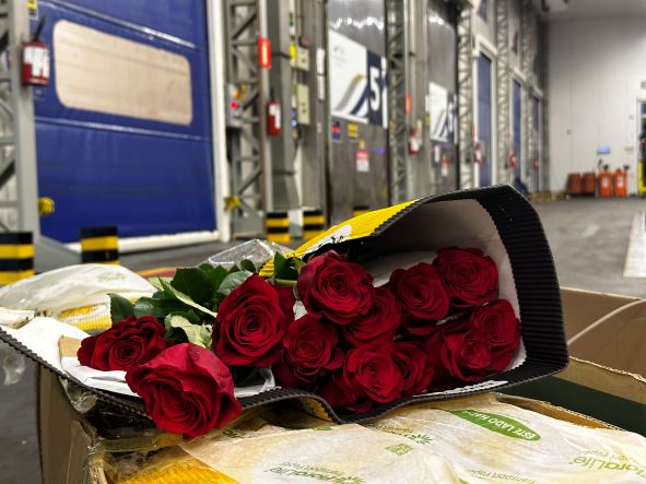 Boeing com 50 toneladas de rosas vindas da Colômbia pousa no Aeroporto de Viracopos