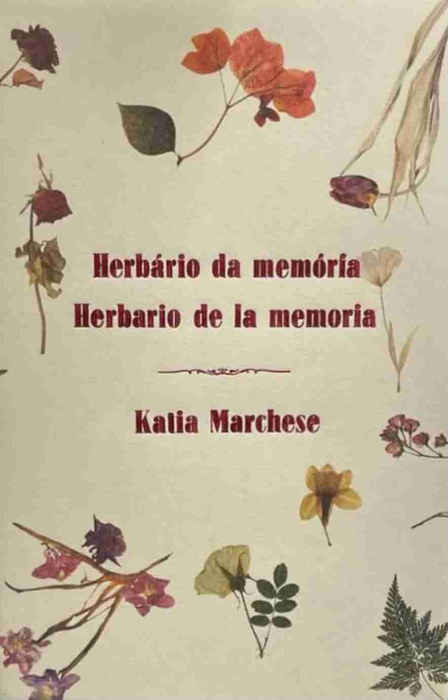 Katia Marchese lança livro bilíngue em Campinas