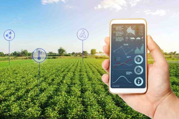 Jornada de Descarbonização mobiliza indústrias para o desenvolvimento sustentável