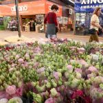 Mercado de Flores da Ceasa Campinas abre no feriado de 1º de maio