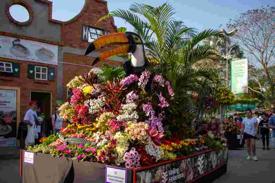 Expoflora 2025 celebra a Tulipa e a arte de Mondrian