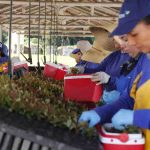 Exportações crescem 6,42% na região de Campinas em 2026