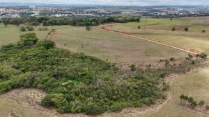 Campinas: Parque Científico e Tecnológico no Desenvolvimento Econômico no Estado de São Paulo 2 Fazenda Argentina Outubro de 2025 Foto Guilherme Paes Leme