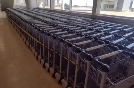 imagem 2 carrinho leilao