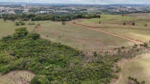 FOTO 3 FAZENDA ARGENTINA 2