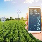 Jornada de Descarbonização Mobiliza Indústrias para o Desenvolvimento Sustentável