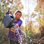 COP30: Governo do Brasil lança Marco de Sistemas Alimentares Sustentáveis