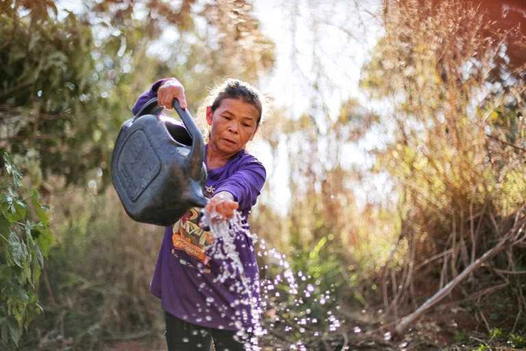 Um dos objetivos e considerar os impactos que o sistema alimentar gera no meio ambiente Foto Estevam Costa PR