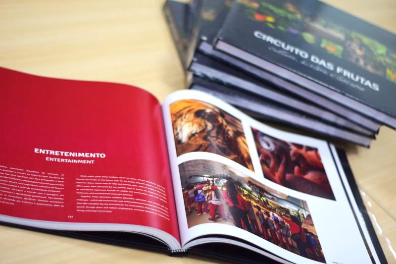 Livro Circuito das Frutas