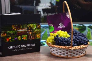 Livro Circuito das Frutas Lancamento Divulgacao