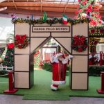 Parque Dom Pedro traz programação natalina Ursos pelo Mundo