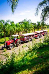 Turismo rural atrai viajantes em busca de natureza e tranquilidade 2 Parque Maeda atracoes Divulgacao