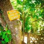 Turismo rural atrai viajantes em busca de natureza e tranquilidade