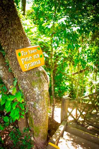 Parque Maeda contato com a natureza Divulgacao