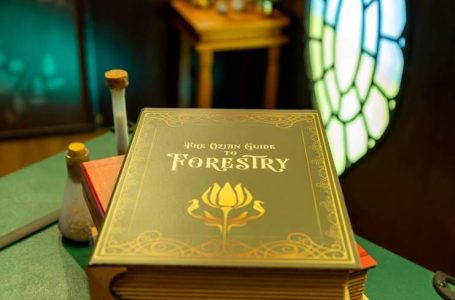 “Wicked – A Experiência” tem temporada prorrogada no Iguatemi Campinas