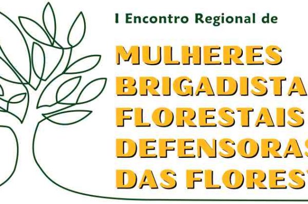 Campinas recebe Encontro de Mulheres Brigadistas Florestais no dia 7 de março