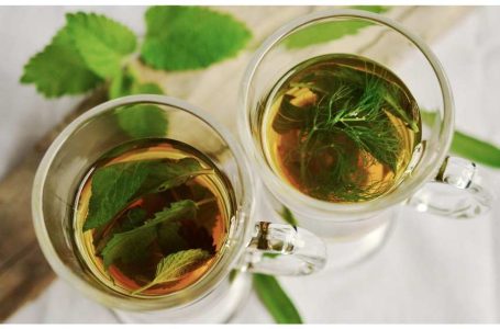 Plantas medicinais tem uso seguro Divulgacao