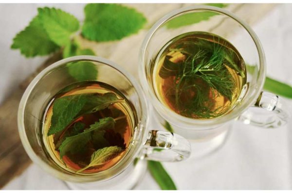 Semana de Fitoterapia de Campinas acontece na CATI de 14 a 16 de abril