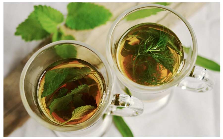 Plantas medicinais tem uso seguro Divulgacao