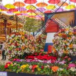Expoflora inicia venda do segundo lote de ingressos para a 43ª edição