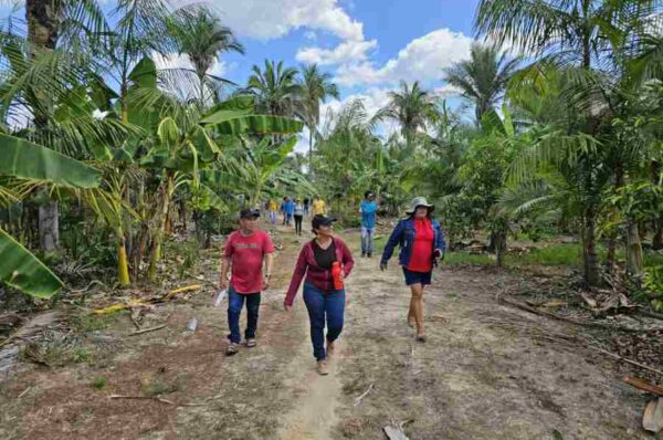 Fundo Ecos lança edital para fortalecer organizações de base comunitária na Amazônia Legal 