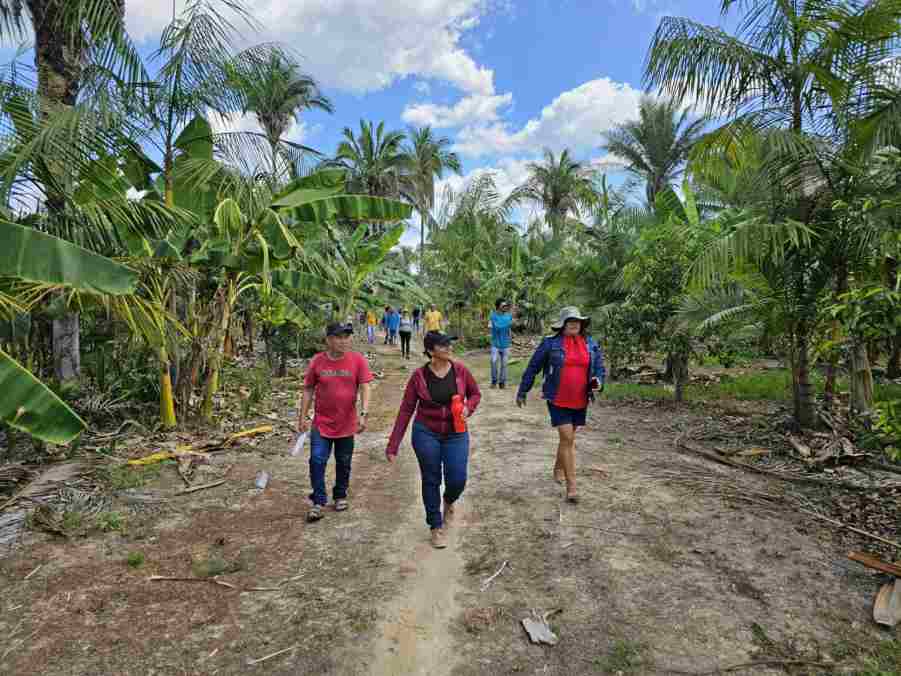 Fundo Ecos lança edital para fortalecer organizações de base comunitária na Amazônia Legal 