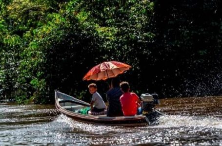 Espaço Cultural do Iguatemi Campinas abriga exposição sobre a Amazônia