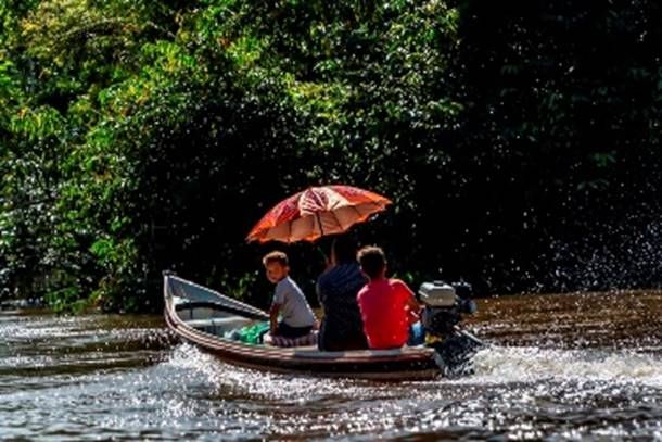 Mostra promovida pela SOS Amazonia reune fotografias autorais e imagens Divulgacao