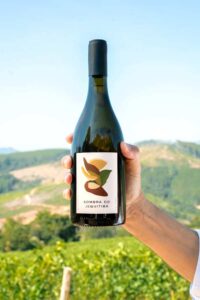 Vinícola Rio Manso estreia no Decanter World Wine Awards 2 Rotulo Sombra do Jequitiba Foto Agencia Versa