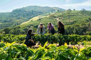 Turismo em Socorro Fazenda de cafe 7 Senhoras Divulgacao