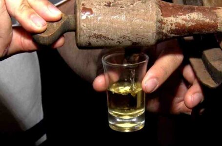 Cachacas de alambique tem uma producao de escala reduzida normalmente de tradicao familiar Foto de divulgacao da CATI