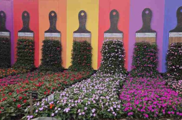 Expoflora 2026 anuncia novidades e reforça raízes com o tema “Tradição e Origens”