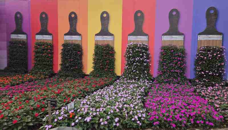 Expoflora 2026 Capa Divulgacao