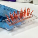 Nova plataforma do CNPEM torna testes de toxicidade mais precisos