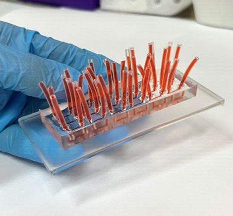Plataforma microfluidica reversivel com chip durante teste de toxicologia Divulgacao CNPEM