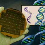CNPEM desenvolve microssensor de alta sensibilidade para diagnóstico de doenças