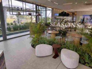 Stand Seasons Divulgacao