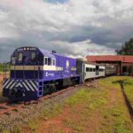 Trem da República registra em agosto o melhor mês da sua história
