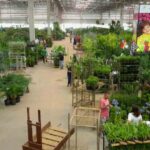 Ceaflor sedia feira de negócios e mostra de paisagismo neste fim de semana