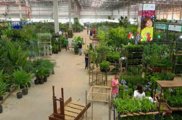 Ceaflor sedia feira de negócios e mostra de paisagismo neste fim de semana