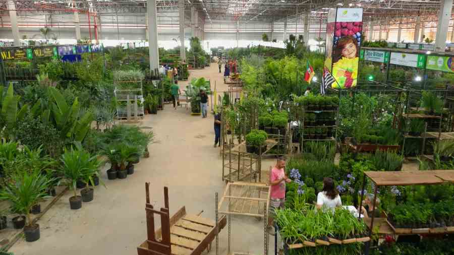 Ceaflor Encontro de 17 a 19 de outubro Divulgacao