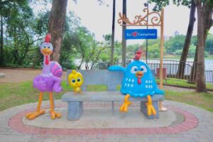 Galinha Pintadinha Foto Firmino Pinton Arquivo PMC